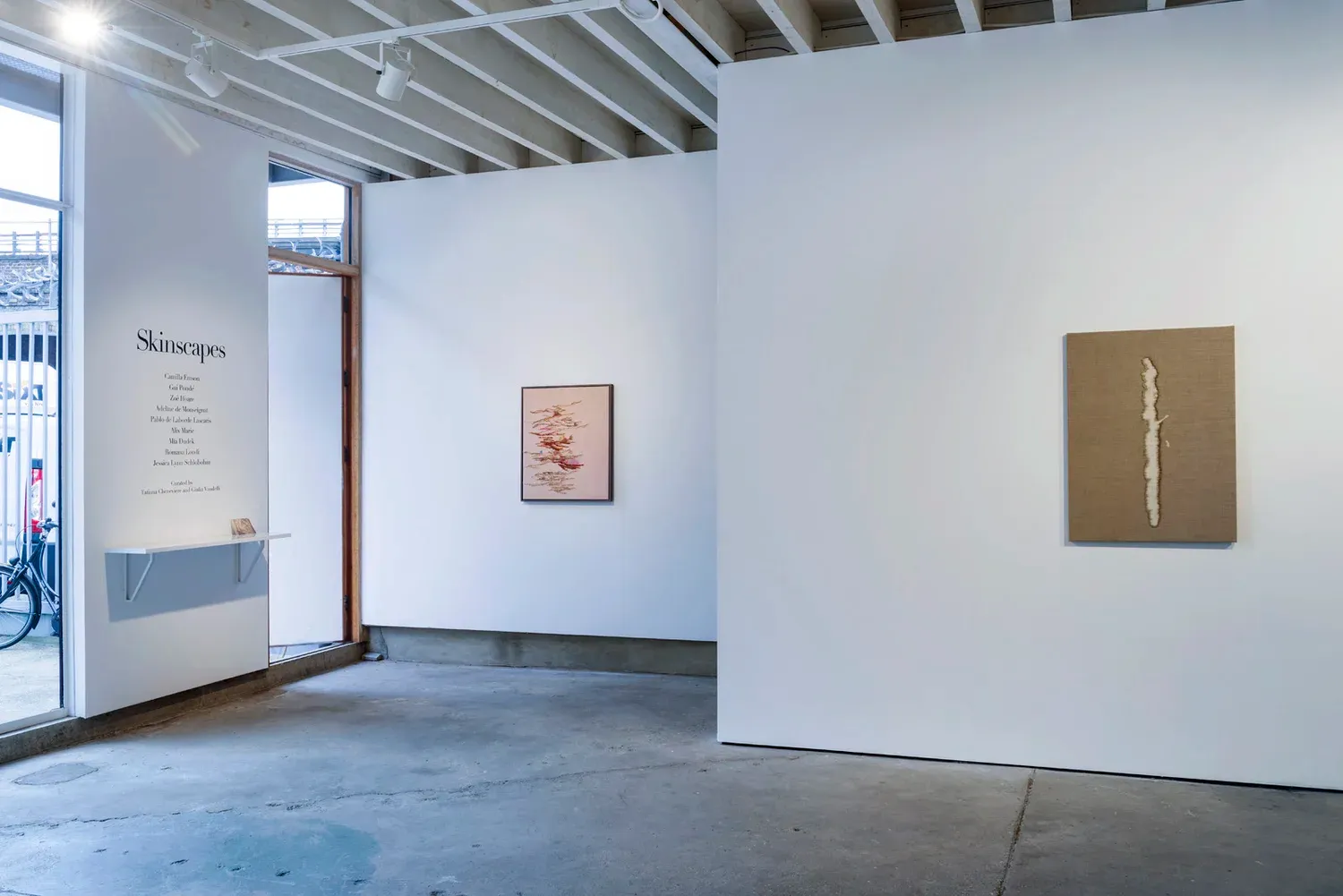 Installation view, Skinscapes