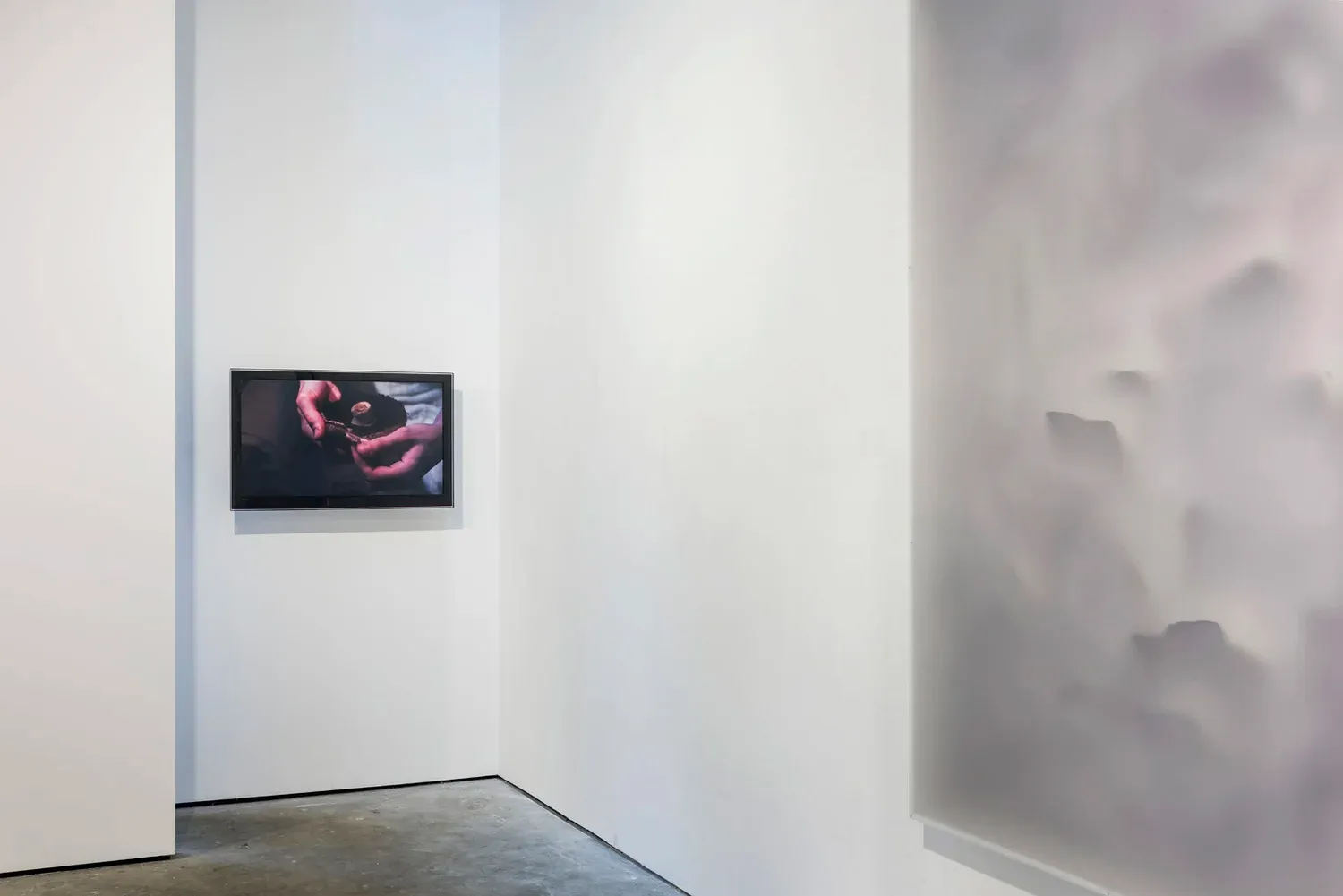 SKINSCAPES, photograph 6