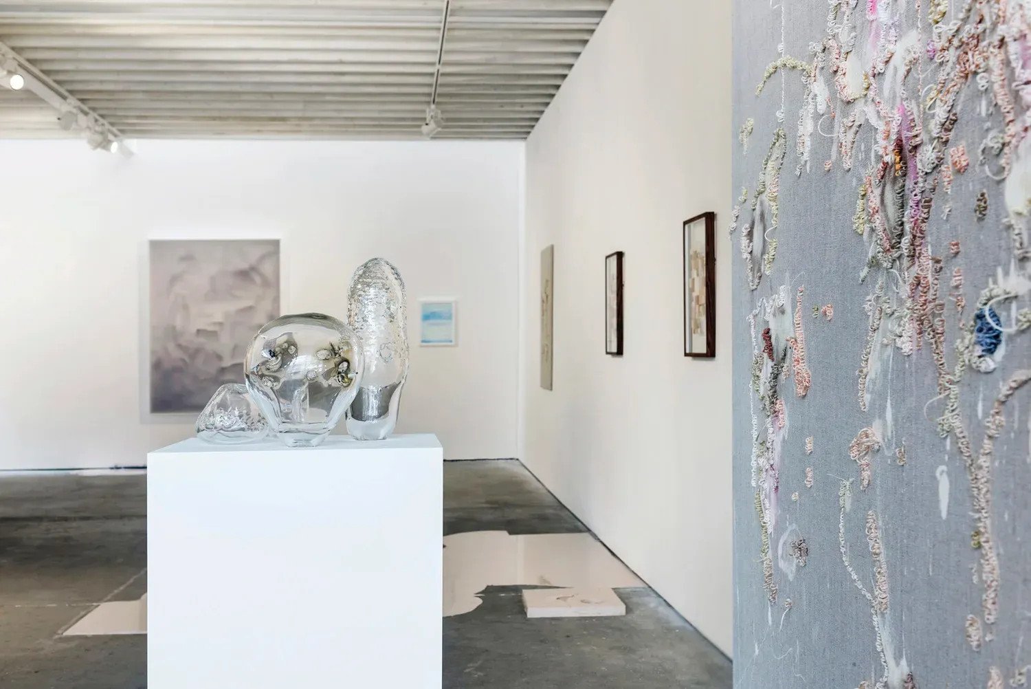 SKINSCAPES, photograph 10