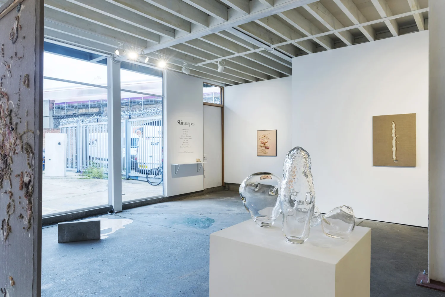 SKINSCAPES, photograph 2