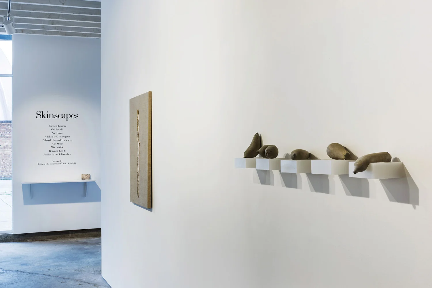 SKINSCAPES, photograph 3