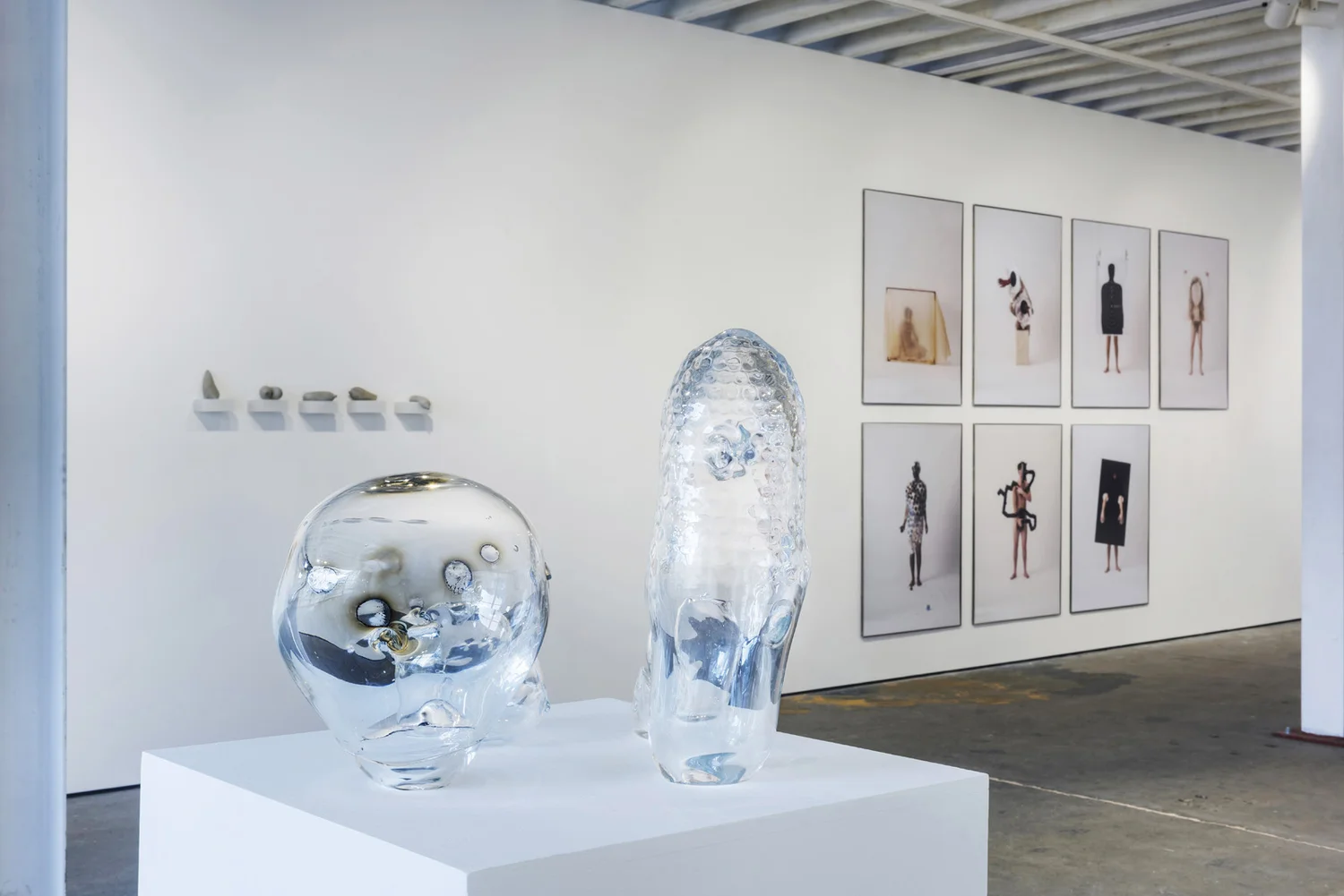 SKINSCAPES, photograph 4