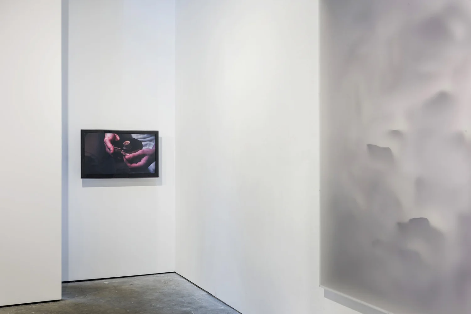 SKINSCAPES, photograph 6