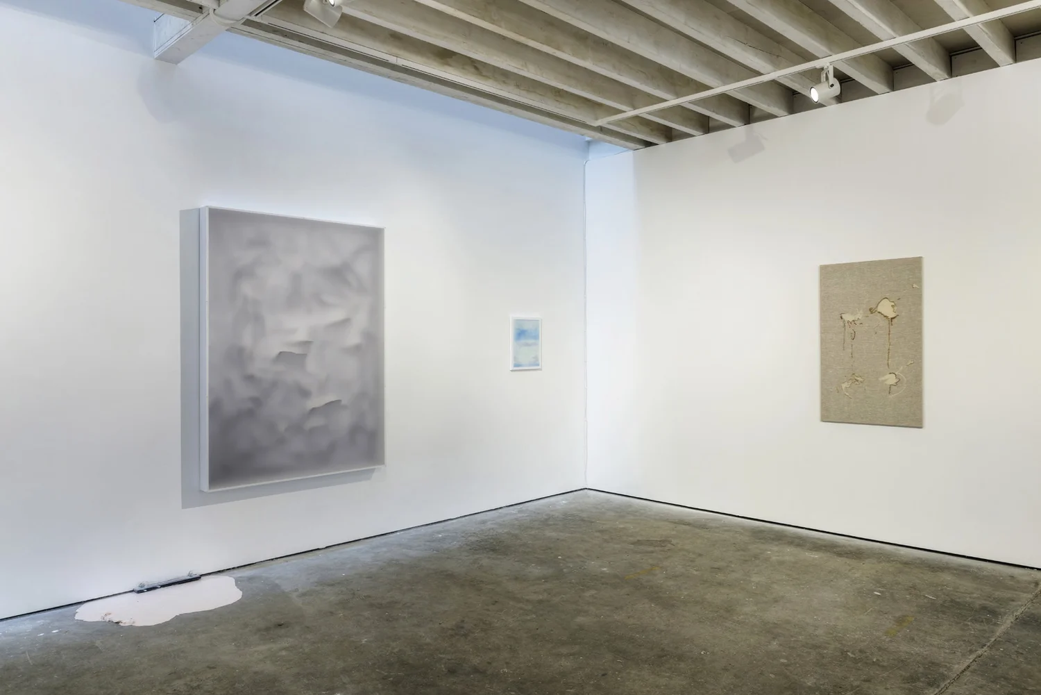 SKINSCAPES, photograph 7