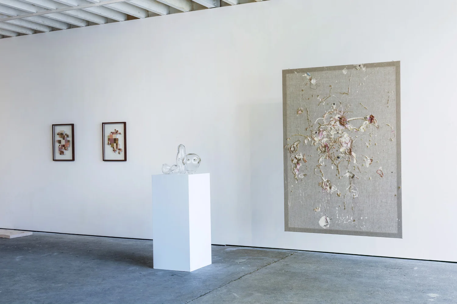 SKINSCAPES, photograph 9